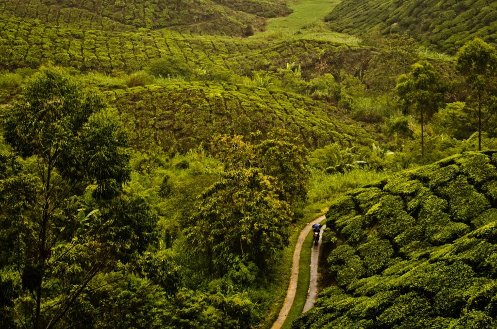 Nat Geo Lists Sri Lanka's Pekoe Trail in Top 20 Travel Experiences for 2024