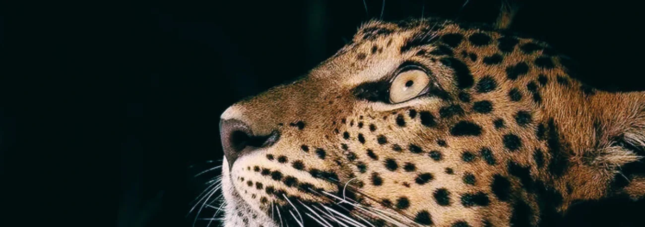 Blog banner 05