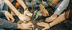 Sri Lanka eco tour forest conservation