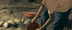 Sri Lanka responsible travel community tourism