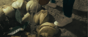 Sri Lanka responsible travel community tourism