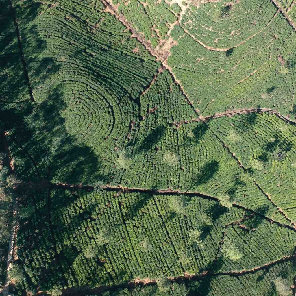 Sustainable Sri Lanka