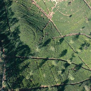 Sustainable hill country