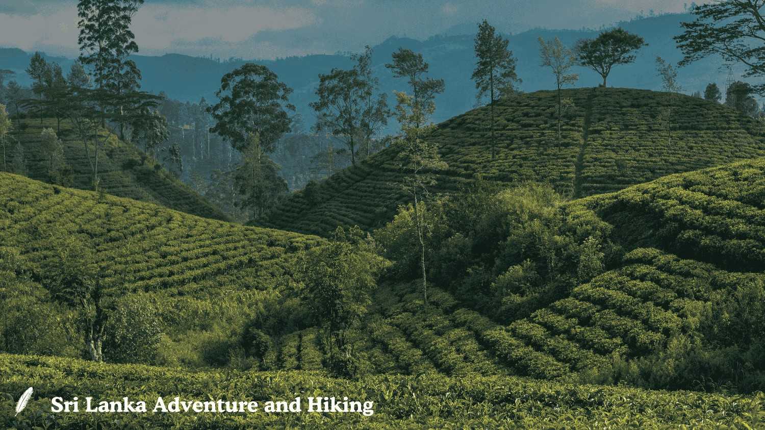 Sri lanka hiking tours