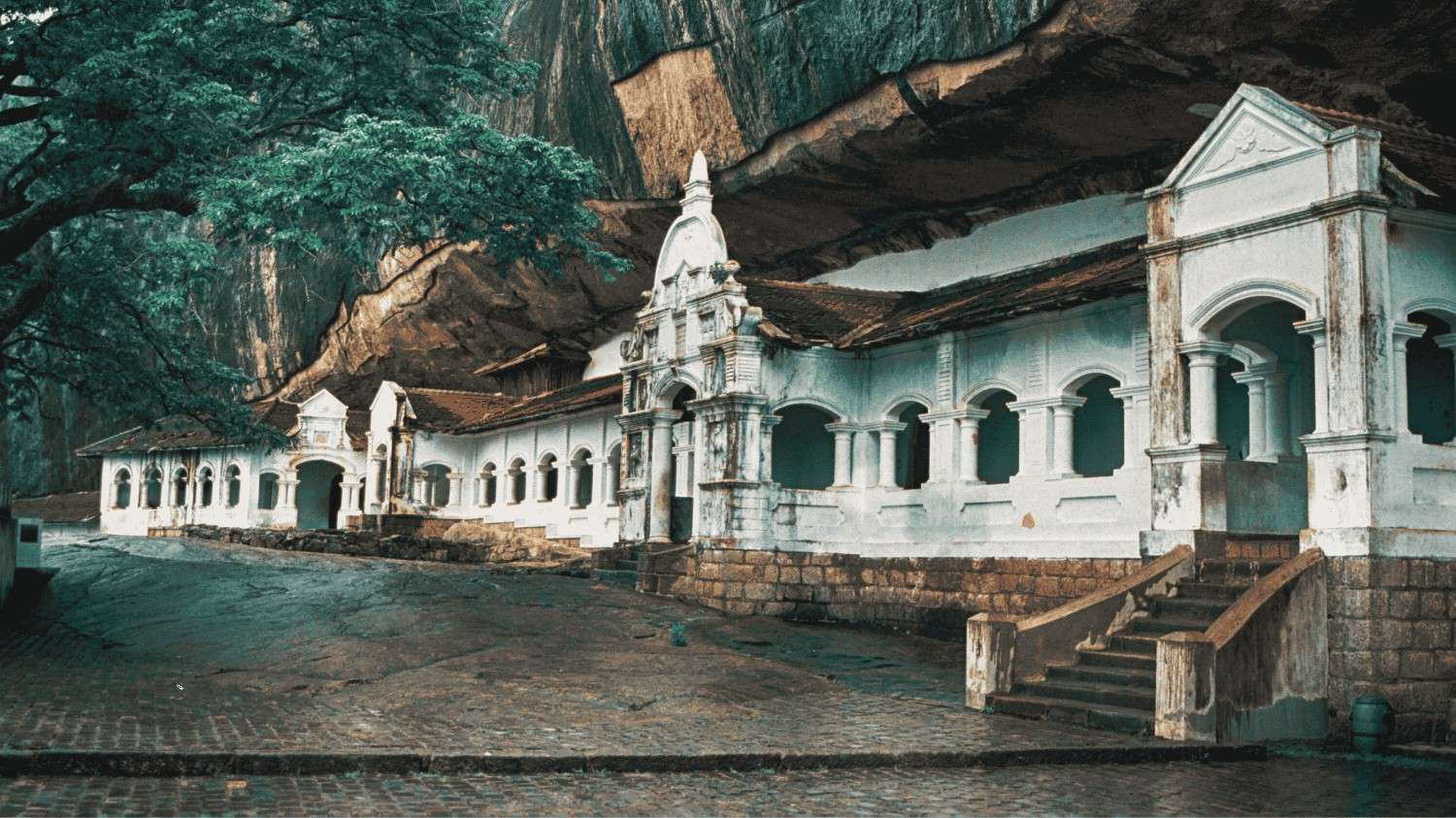 contact to book best sri lankan tours globeenjoy