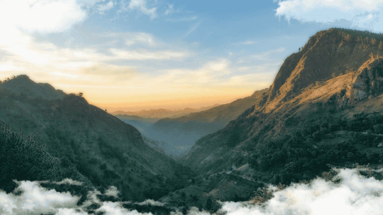 Sri lanka hill country tour