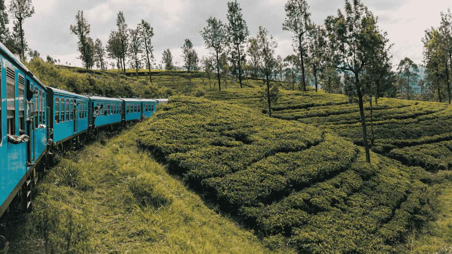 sri lanka tour booking with local travel experts