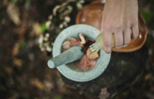 Traditional Sri Lankan herbal remedies in wellness retreat