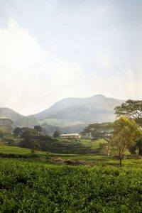 Sri Lanka authentic village life tours photo