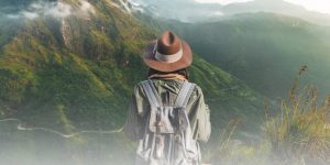 Best destinations to visit in Sri Lanka featuring Sigiriya, tea plantations, beaches, and wildlife