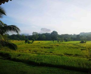 Sigiriya Rock Fortress on a Sri Lanka heritage tour